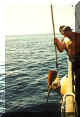 canaria_rocka1.JPG (52106 byte)